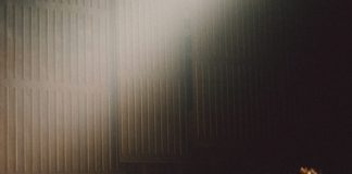 Academic freedom and freedom of speech