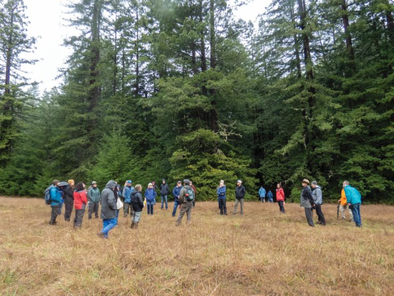 Calvi Ranch Acquisition, a Gift that Will Keep Giving for Generations to Come