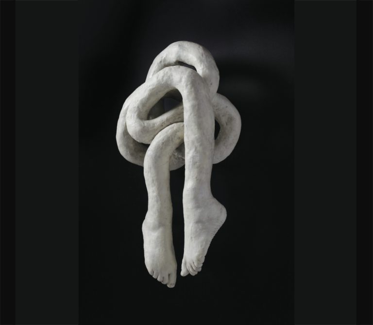 ‘Phenotype,’ the art of visible consequences