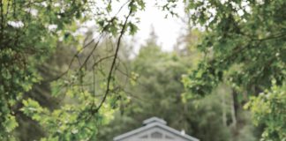 NewTree Ranch is the embodiment of Edward Newell’s path, with a dedication to sustainability, land stewardship and regenerative agriculture.