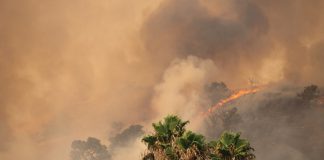 Sunday, Feb. 15, the Occidental Center for the Arts Literary Series hosts 'Red Flag Warning' contributors Dani Burlison, Manjula Martin, Hiya Swanhuyser, Beatrice Camacho and Amy Elizabeth Robinson.