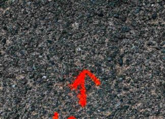 Timmy was a good bartender; he just had a problem with certainty. Or rather uncertainty. His two favorite phrases were “100%” and “absolutely.”