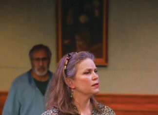 Philosophy, obsession and integrity are themes at the forefront of 6th Street Playhouse’s latest offering, The Lifespan of a Fact, directed by Libby Oberlin.