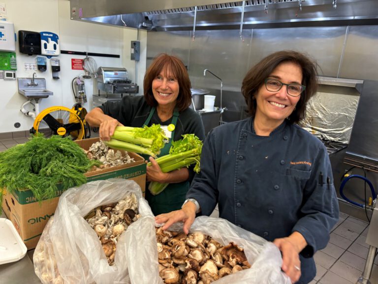 Hunger Amid Abundance: Food Insecurity Grows in North Bay