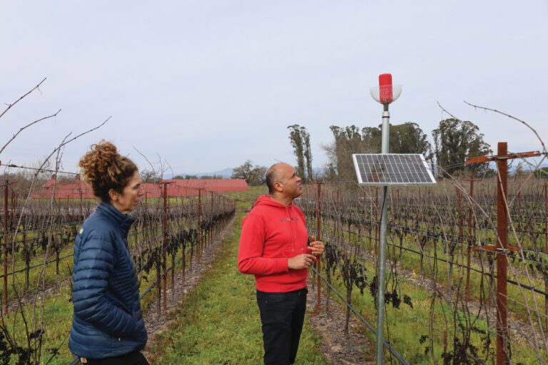 Piano for Pinot, Sound Waves Might Help Vineyards Cost Cut