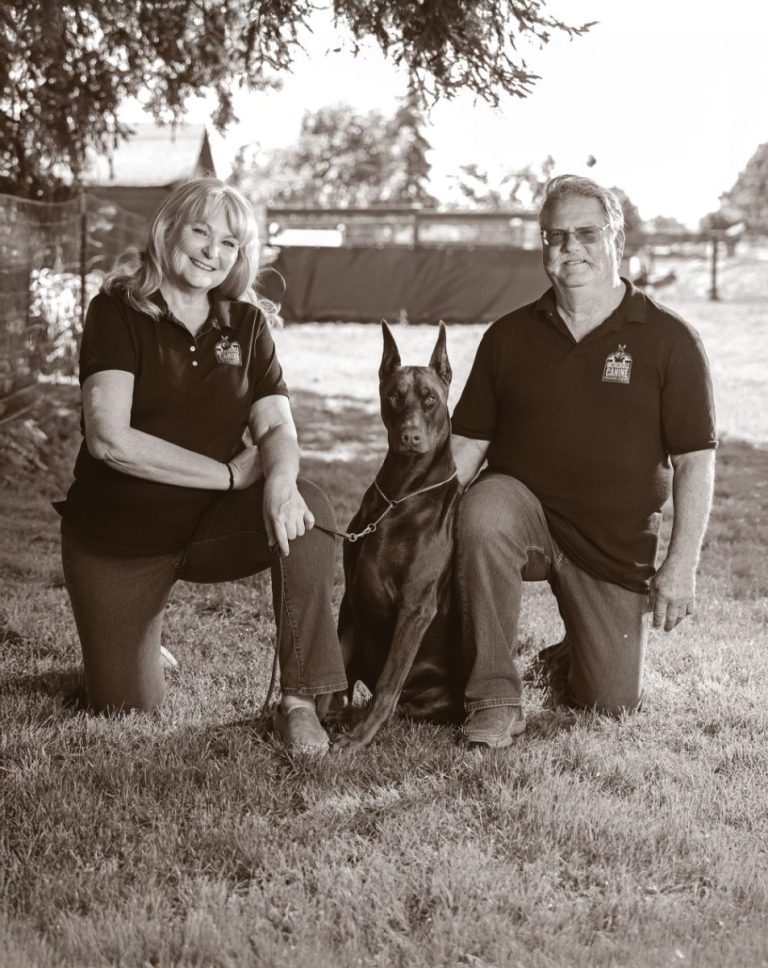 The Faces of Dog Training