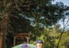 Russian Riverkeeper’s Don McEnhill In 2025 alone, the Russian River Keepers—self-styled protectors of the river—pulled roughly half a million pounds of trash from its waters, a volume that has grown, year over year, for the past five years.