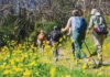 The North Bay has several California State Parks close enough to reach painlessly and wild enough to make one feel far from the trappings of civilization.