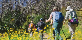 The North Bay has several California State Parks close enough to reach painlessly and wild enough to make one feel far from the trappings of civilization.