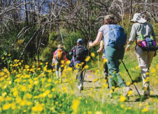 State Park Stays, Rustic Alternatives for Summer The North Bay has several California State Parks close enough to reach painlessly and wild enough to make one feel far from the trappings of civilization.