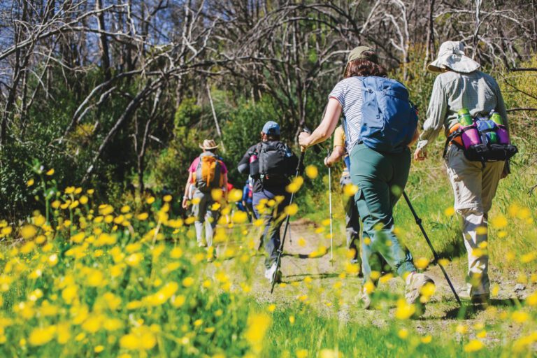 State Park Stays, Rustic Alternatives for Summer