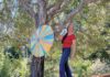 Erma Murphy, executive director of O'Hanlon Center for the Arts, standing on a wood board with her hand around a tree branch.