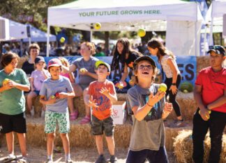 Children juggle apples at the Gravenstein Apple Fair.