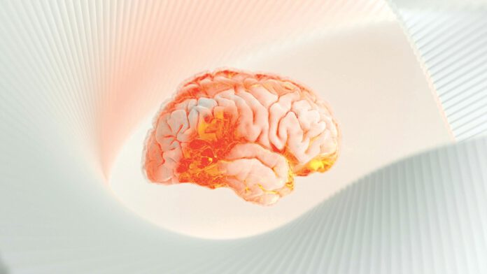 A glowing, translucent digital rendering of a human brain with fiery orange highlights, set against a rippled white background.